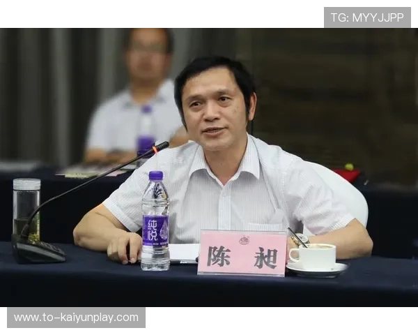 赛后总结：深度剖析比赛表现与策略调整，展望未来发展方向